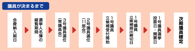 議員が決まるまで