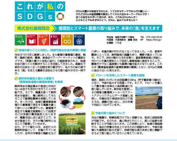 これが私のSDGs 2024年11月号