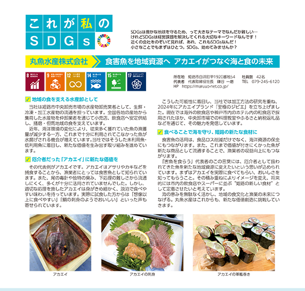 これが私のSDGs 2026年7月号